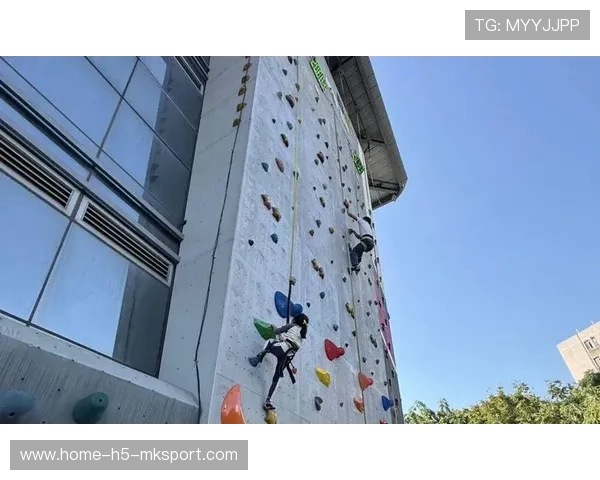 攀岩公开赛突现“盲攀”挑战赛，创新规则获好评