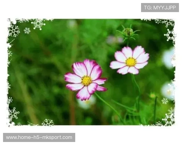 张帅：活出自己想要的样子，活出想要的模样