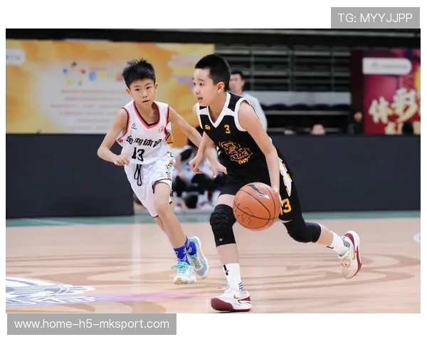 篮球在中国家庭教育现代化进程中的功能延展性分析,篮球在我国的发展情况 篮球在中国家庭教育现代化进程中的功能延展性分析,篮球在我国的发展情况