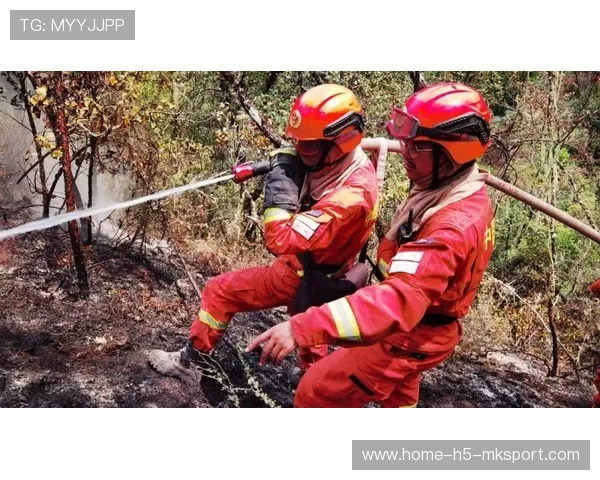 逆风而行：那些令人感动的团队故事！，团队经典故事